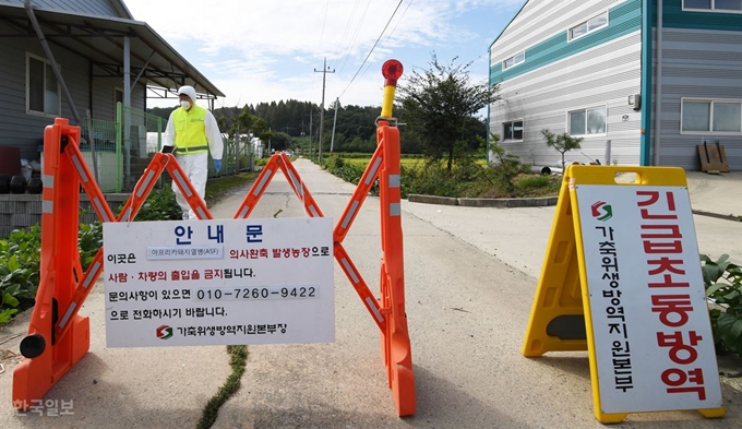 17일 경기 파주시의 한 양돈농장에서 아프리카돼지열병(ASF)이 발생해 방역당국이 출입을 통제하고 소독작업을 벌이고 있다. 배우한 기자