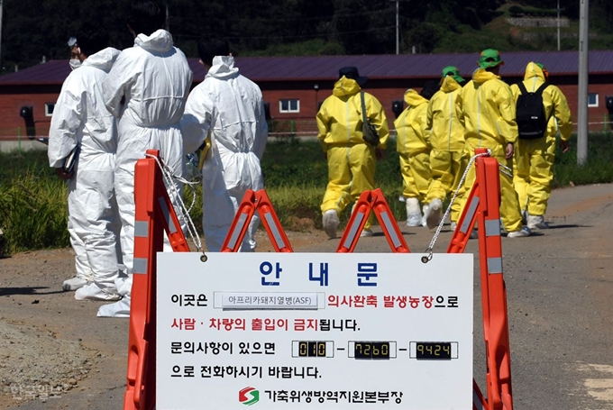 18일 오전 경기도 연천군의 한 양돈농가에서 아프리카돼지열병(ASF)이 발생해 방역당국 관계자들이 농장으로 들어 가고 있다.연천=고영권 기자