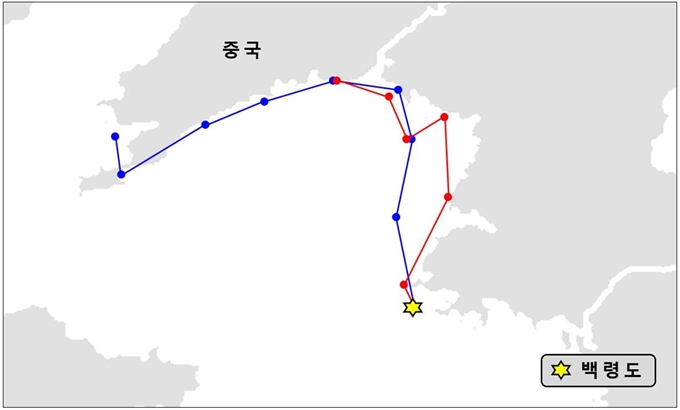 괭이갈매기 국외이동경로