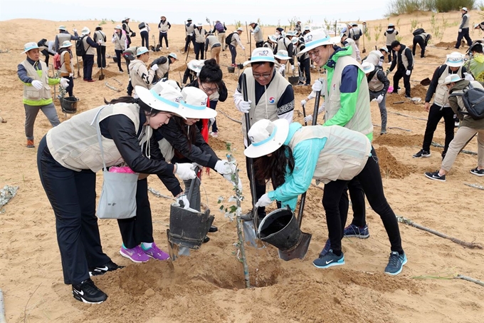 중국 네이멍구(內蒙古) 쿠부치 사막에서 대한항공 임직원들이 나무를 심고 있다. 대한항공은 2007년부터 매년 황사 진원지인 쿠부치사막을 찾아 생태림 조성을 위한 식림활동을 이어오고 있다. 쿠부치=공항사진기자단