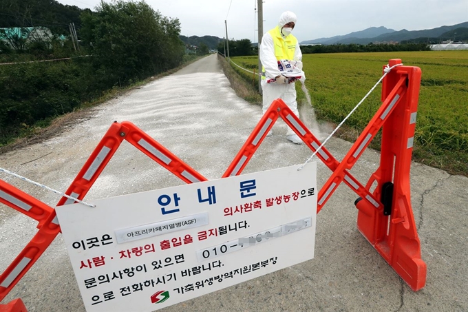 20일 아프리카돼지열병(ASF) 의심 신고가 접수된 경기 파주시의 돼지 농장 주변에서 가축위생방역지원본부 관계자들이 출입을 통제하고 있다. 뉴스1