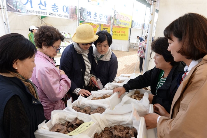 지난해 열린 봉화송이축제장을 찾은 관광객들이 송이와 버섯 등 판매장을 둘러보고 있다. 봉화군 제공