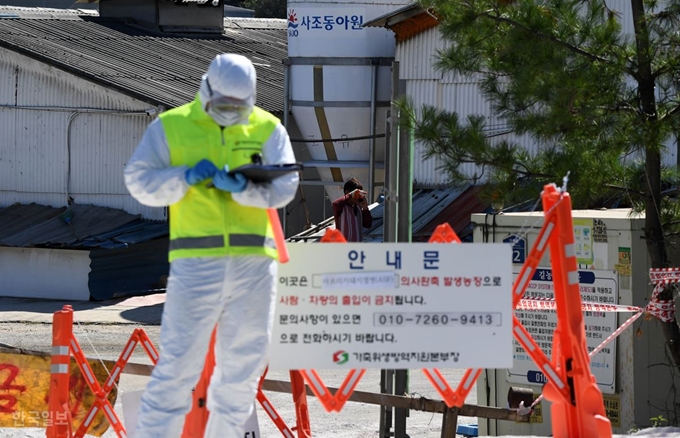 [저작권 한국일보]돼지열병 의심 신고된 김포 양돈농장김포에서 아프리카돼지열병(ASF) 의심 신고가 접수된 23일 오전 경기도 김포시 통진읍 한 양돈농장 앞에서 방역당국 관계자가 출입을 통제하는 동안 농장 관계자가 나오며 누군가와 통화를 하고 있다. 서재훈 기자 spring@hankookilbo.com