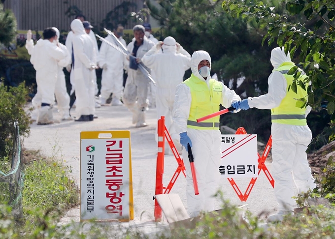 국내 다섯 번째로 아프리카돼지열병 확진 판정을 받은 인천 강화군 송해면 양돈농장 입구에 25일 외부인 출입을 금지하는 바리케이드가 설치돼 있다. 이환직 기자 연합뉴스