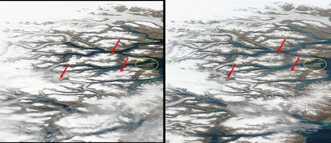 2009년 8월 5일(왼쪽), 2019년 8월 5일(오르족) 그린란드 엘라섬(노란색 동그람이) 부근의 모디스 위성 사진. 붉은 화살표가 가리키는 곳은 내륙 빙하와 해빙이 줄어든 곳이다. Nasa Worldview 제공
