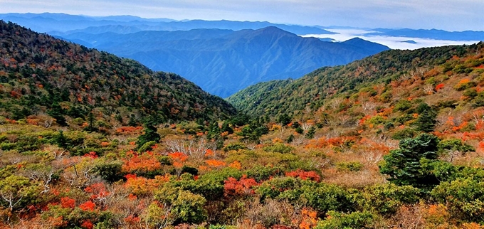 설악산 단풍이 본격적으로 시작된 가운데 27일 중청대피소 일대가 단풍으로 물들고 있다. 설악산국립공원사무소 제공