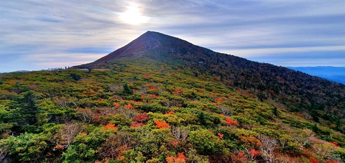 설악산 단풍이 본격적으로 시작된 가운데 27일 대청봉 일대가 단풍으로 물들고 있다. 설악산국립공원사무소 제공.