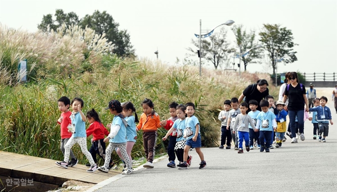 27일 서울 상암동 하늘공원 억새 밭이 은백색으로 물들어 가고 있다. 공원을 찾은 별하어린이집 원아들이 선생님과 함께 억새밭을 거닐며 즐거워 하고 있다.배우한 기자