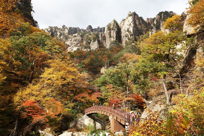 기암절벽과 형형색색 단풍이 아름다운 주전골 풍경.