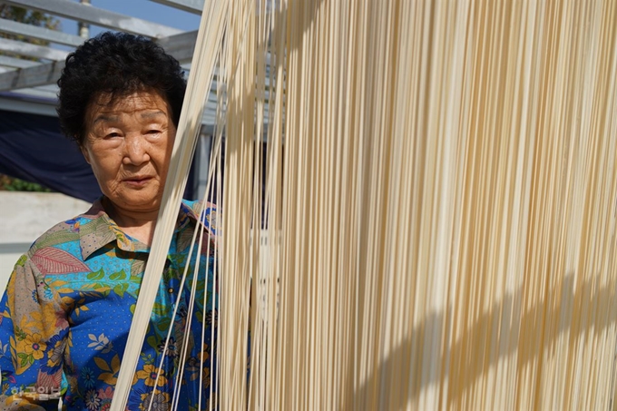 50년간 자연건조만 고집한 경북 포항 구룡포읍 제일국수공장의 이순화(80)씨가 구룡포읍 구평리에 지은 두 번째 공장에서 해풍에 말리기 위해 야외 건조장에 길게 걸어 놓은 국수를 매만지고 있다. 포항=김정혜 기자 kjh@hankookilbo.com