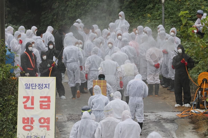 2일 경기 파주시 파평면의 한 양돈농가에서 아프리카돼지열병(ASF)가 발생해 방역당국이 살처분 작업을 준비하고 있다.연합뉴스