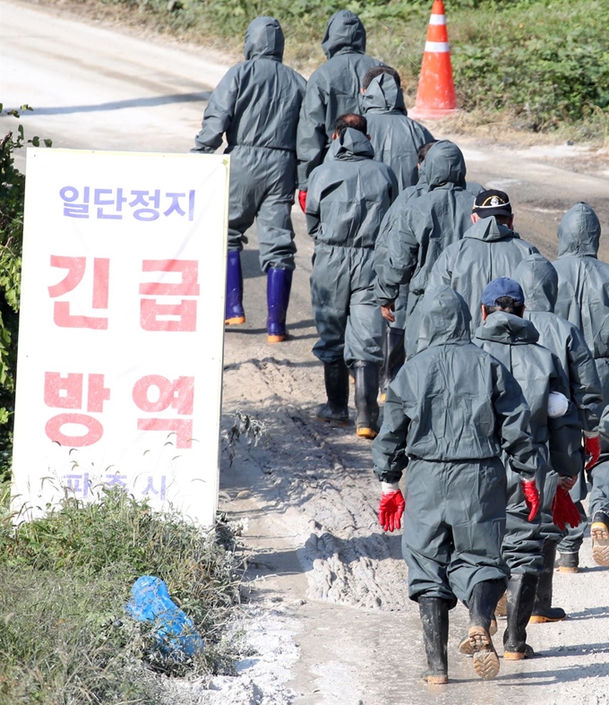 경기 북부지역에 아프리카돼지열병이 확산되는 가운데 4일 오후 경기 파주시의 한 양돈농가에서 관계자들이 방역 작업을 하기 위해 이동하고 있다. 파주=뉴시스