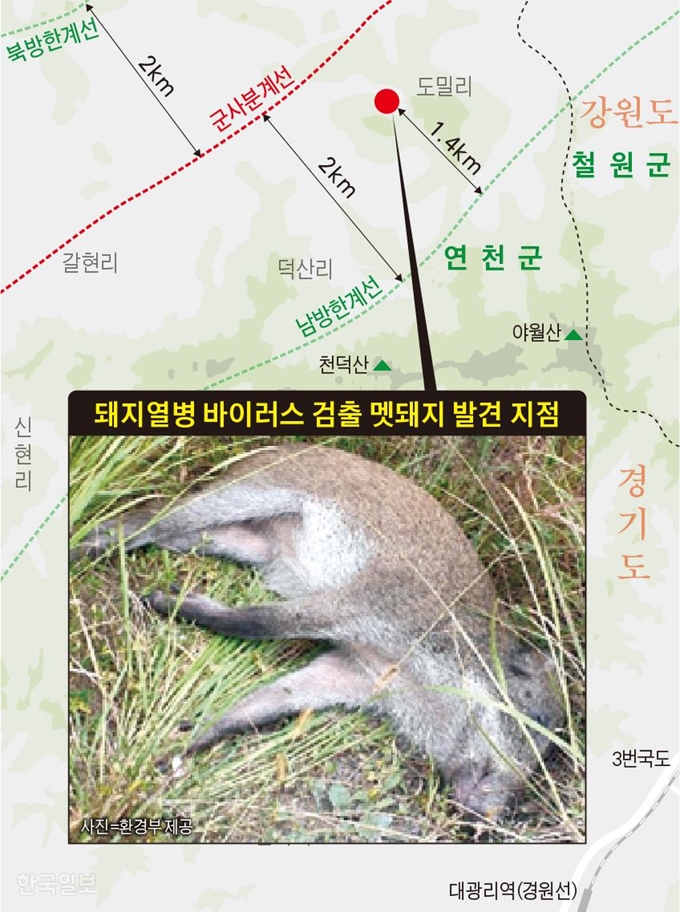 [저작권 한국일보] 돼지열병 바이러스 검출 멧돼지 발견 지점 / 김문중 기자 / 2019-10-03(한국일보)