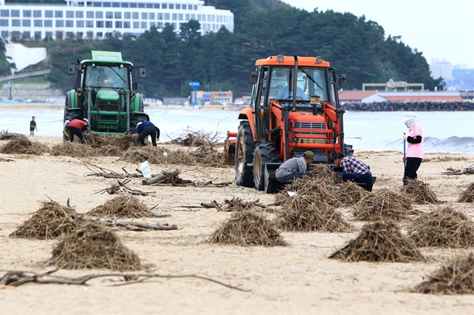 태풍 '미탁'이 지나간 뒤 해변에 밀려 나온 쓰레기가 곳곳에서 골칫거리가 되고 있는 가운데 7일 양양 낙산해변에서 주민들이 쓰레기를 치우고 있다. 연합뉴스