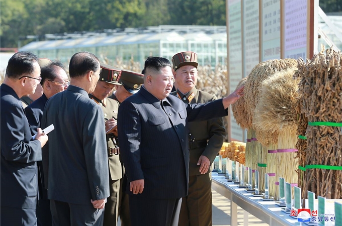 김정은 북한 국무위원장이 인민군 제810부대 산하 1116호 농장을 현지 지도했다고 9일 조선중앙통신이 보도했다. 연합뉴스