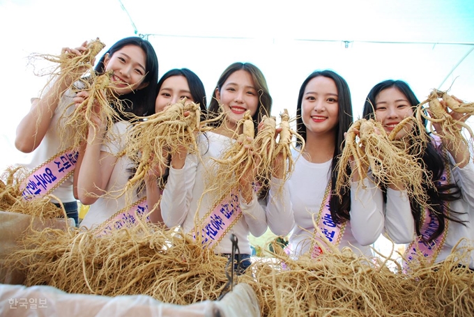 풍기인삼 홍보대사로 선발된 수상자들이 14일 풍기인삼축제장에서 인삼을 들어 보이며 홍보 사진을 찍고 있다. 수상자들은 금현민(진) 김린(선) 구희영 권다혜 남효진(미)이다. 류수현 기자