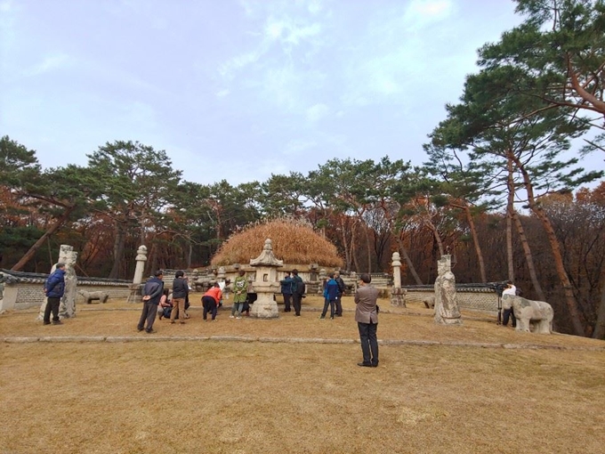 지난해 경기 구리 건원릉 능침 시범 개방 당시 전경. 문화재청 제공