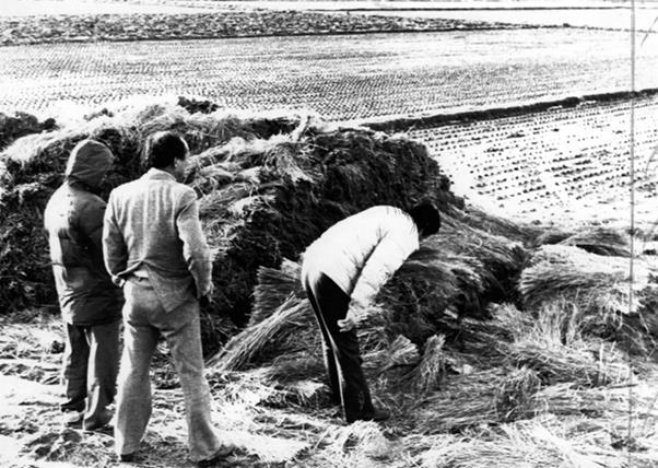 1980년대 전국을 공포로 몰아넣고 우리나라 범죄사상 최악의 미제사건으로 남았던 화성연쇄살인사건의 유력 용의자가 드러났다. 사진은 1987년 1월 5차 사건 현장인 화성 황계리 현장을 경찰이 살펴보고 있다. 연합뉴스 자료사진