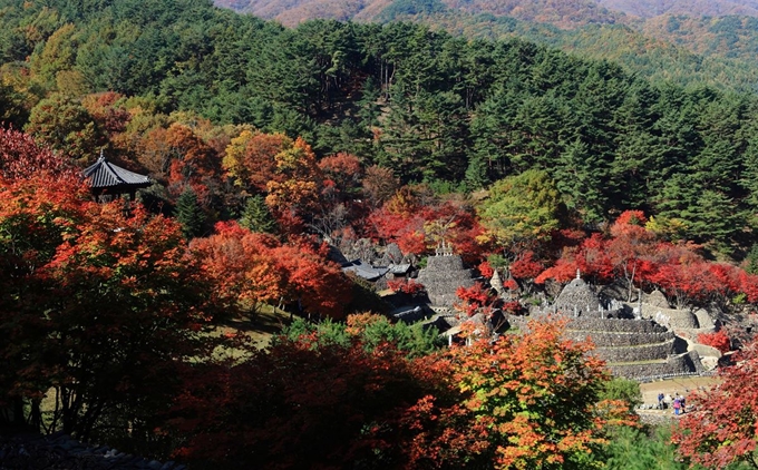 경남 하동군에 위치한 삼성궁은 한풀선사가 수자들과 함께 수련하며 하나 둘 돌을 쌓아올려 기묘한 형상으로 쌓은 1,500여개 돌탑이 주변의 숲과 어울려 이국적인 정취를 풍긴다. 이 돌탑들은 이곳에서 원력 솟대라 부른다. 삼성궁 제공