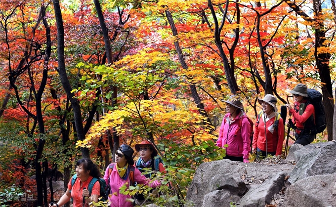 19일 북한산 숨은 벽 아래 울긋불긋한 단풍잎 사이로 등산객들이 산을 오르며 가을 정취를 만끽하고 있다. 배우한 기자