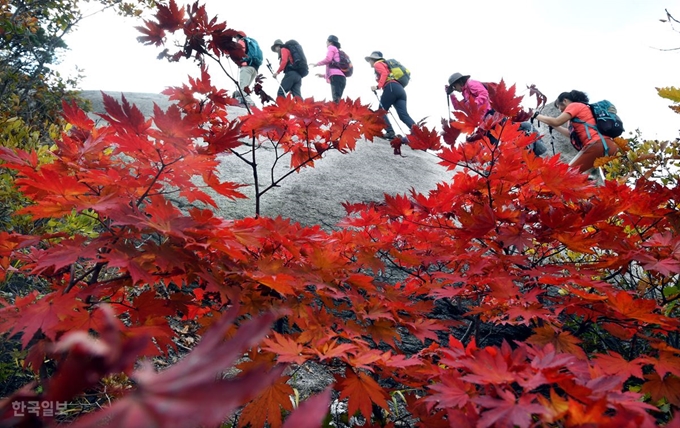 19일 북한산 백운대 아래 단풍이 절정을 이뤄 등산객들이 울긋불긋한 단풍잎 사이로 산을 오르며 가을 정취를 만끽하고 있다.배우한 기자