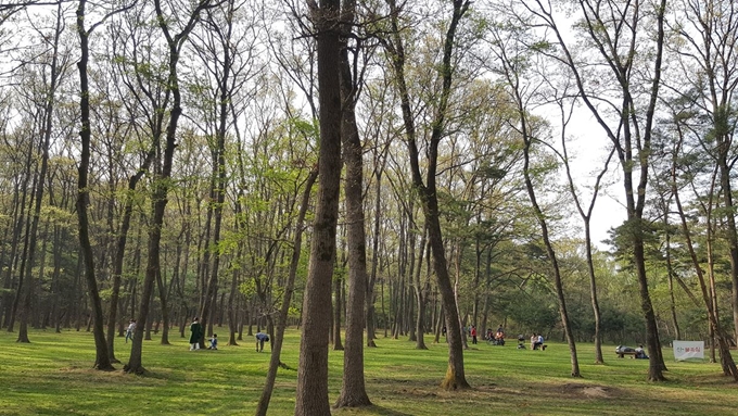 국립산림과학원이 22일 생활권 숲을 자주 찾는 사람들이 개인 삶의 만족도가 높다는 연구결과를 내놨다. 사진은 도시 숲에서 여가를 즐기는 시민들 모습. 산림청 제공