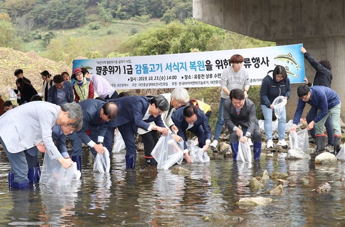 대전시와 환경관련 기관ㆍ단체 관계자들이 23일 유등천 상류에서 멸종위기종인 감돌고기 복원을 위한 방류행사를 갖고 있다. 대전시 제공