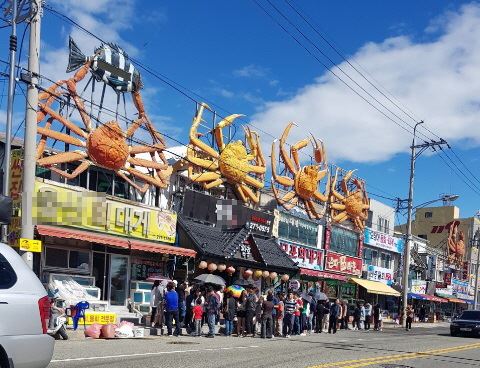 홍게 짬뽕을 파는 경북 포항시 남구 구룡포읍 한 음식점 앞에 맛을 보려고 전국에서 온 사람들이 길게 줄을 서 있다. 이준영 포항시의원 제공