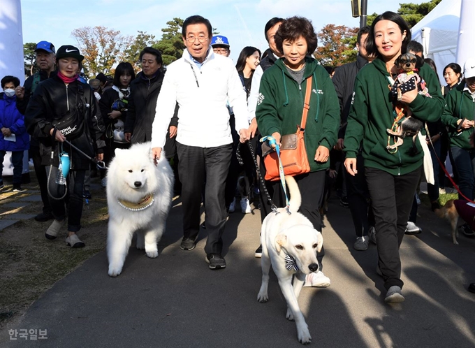 26일 남산 백범광장에서 열린 제486회 한국일보 거북이마라톤 '반려견과 함께하는 남산 걷기대회'에서 박원순 서울시장이 유기견 ‘밤이’와 함께 남산 둘레길을 걷고 있다.고영권 기자