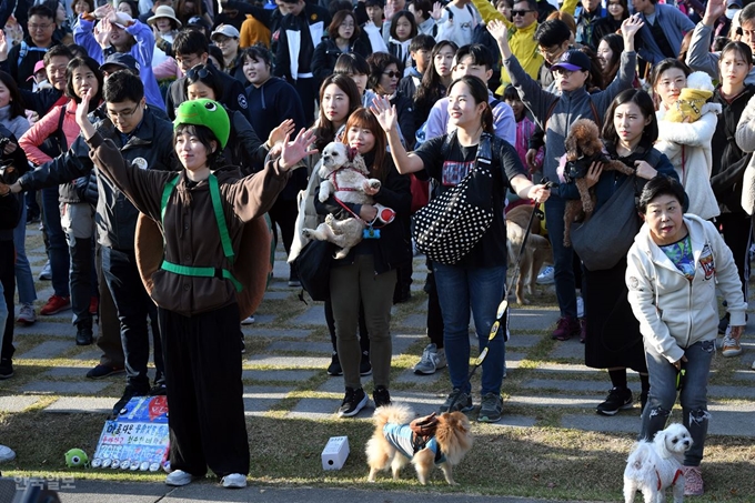 26일 남산 백범광장에서 열린 제486회 한국일보 거북이마라톤 '반려견과 함께하는 남산 걷기대회'에서 참가자들이 몸풀기 체조를 하고 있다.고영권 기자