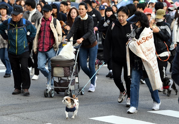 26일 남산 백범광장에서 열린 제486회 한국일보 거북이마라톤 '반려견과 함께하는 남산 걷기대회'에서 참가자들이 남산 둘레길을 걷고 있다.고영권 기자