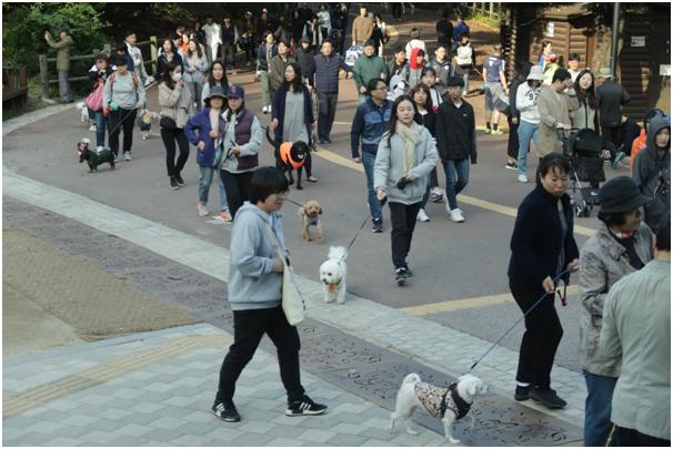 26일 서울 남산 백범광장~북측순환로 구간에서 진행된 한국일보 거북이마라톤 ‘반려견과 함께 하는 남산 걷기대회’에 참가한 반려인과 반려견들이 산책을 하고 있다. 동그람이 이주희