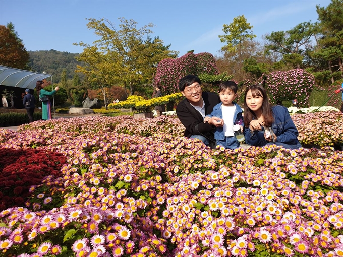 젊은 부부가 28일 3살짜리 아들과 함께 대구 달서구 대구수목원에서 국화를 보며 즐거워 하고 있다. 대구수목원은 이날부터 다음달 14일까지 국화꽃 1만2,000여 송이를 전시하는 '국화전시회'를 열고 있다. 김민규 기자 whitekmg@hankookilbo.com