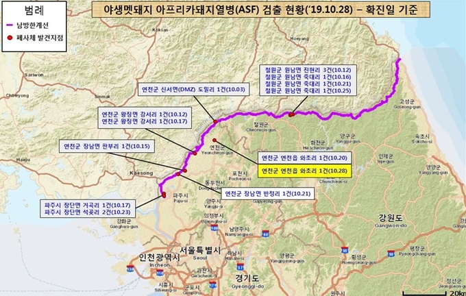 10월 28일 기준 야생멧돼지 아프리카돼지열병 검출 현황. 국립환경과학원 제공