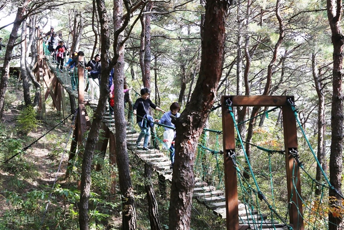 산막이옛길 초입의 소나무 출렁다리. 짧은 산책로에 갖가지 이야기 거리를 더해 심심하지 않다.