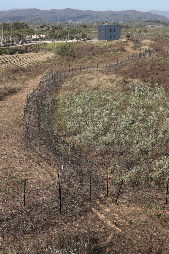 29일 경기도 연천군 임진강변에 아프리카돼지열병(ASF) 확산과 야생 멧돼지 이동을 막기 위한 울타리가 설치되어 있다. 연합뉴스