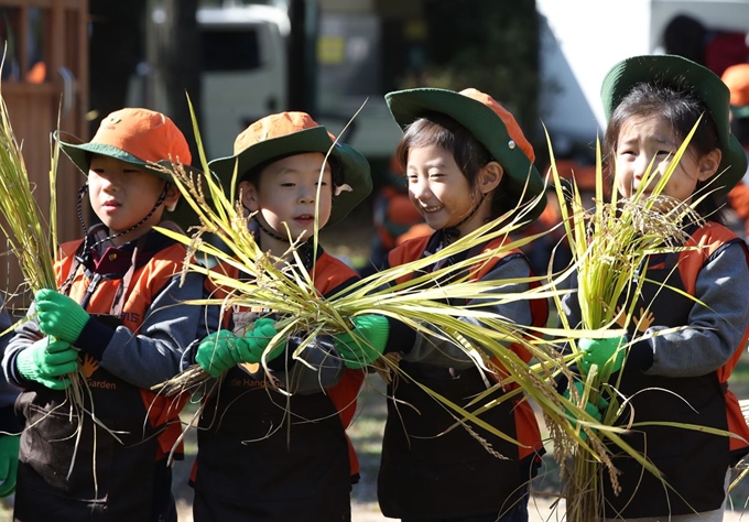 30일 오전 서울 양천구 신트리공원에서 열린 '도심 전통 벼 베기 행사'에 참가한 어린이들이 직접 수확한 벼를 들고서 즐거워하고 있다. 연합뉴스