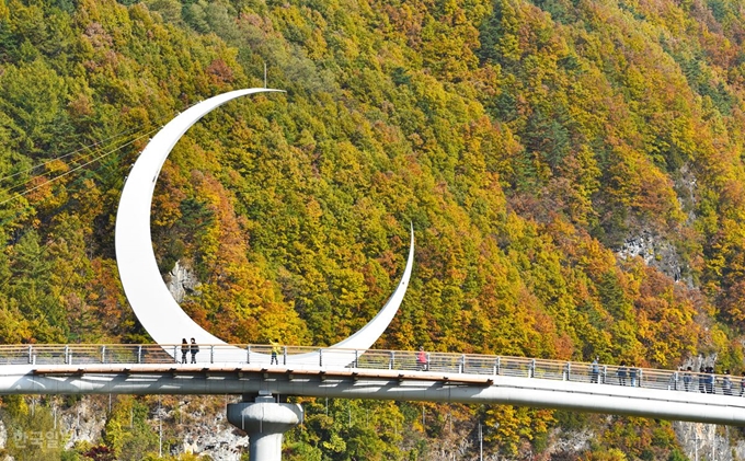 아우라지 오작교 인근 산자락에 단풍이 황홀하다. 뒤편이 달이 뜨는 ‘월부’ 계곡이어서 다리 위에 초승달 모양의 조형물을 세웠다고 한다.