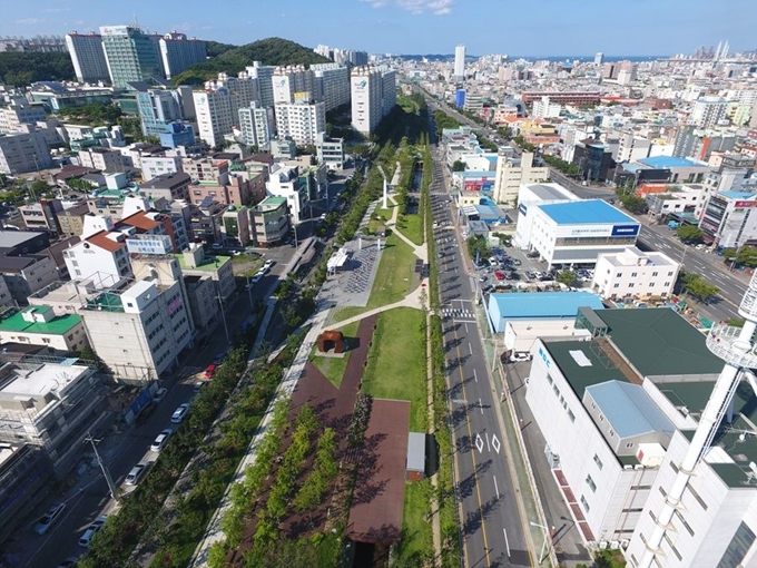 포항시 남구 동해남부선 폐철길에 소나무 단풍나무 등을 심어 주민생활 밀착형 도시숲으로 변모했다.