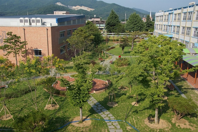 구미 도개고등학교가 운동장에 이팝나무 배롱나무 등을 심어 생태학습공간으로 조성했다. 경북도 제공