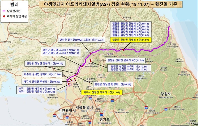 11월 7일 기준 야생멧돼지 아프리카돼지열병 검출현황