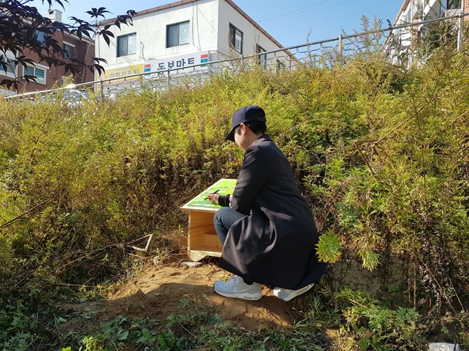 춘천시는 7일 옥천동 시청 직원 주차장 인근에 길고양이 급식소를 설치했다. 가로, 세로 50㎝ 가량인 급식소는 사료와 물을 넣을 수 있도록 제작했다. 춘천시 동물보호센터 제공