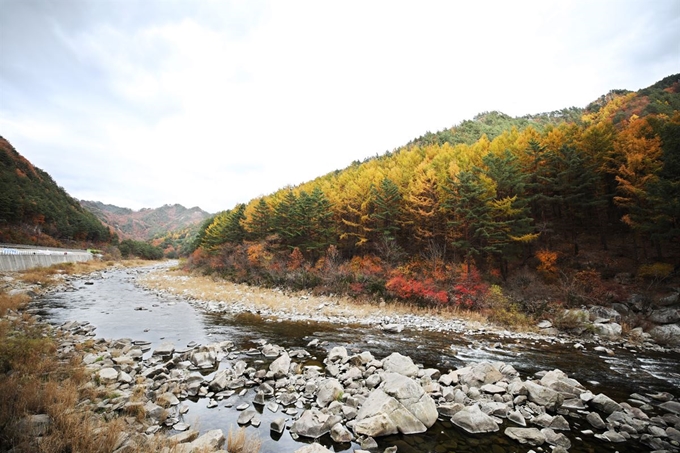 승부역에서 양원역으로 가까워질 수록 아름다운 가을 풍경을 만날 수 있다.