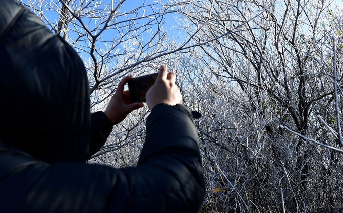 올 가을 가장 추운 날씨를 보인 14일 오전 광주 무등산국립공원 정상부근에 겨울이 오고 있음을 알리는 상고대가 피었다. 뉴시스