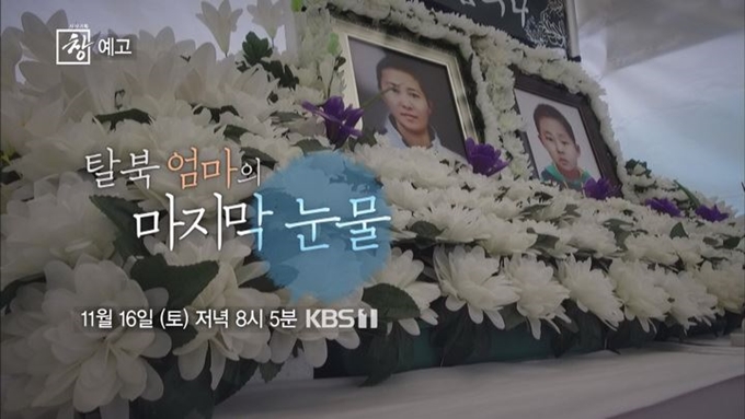 KBS1 '시사기획 창'. KBS 제공