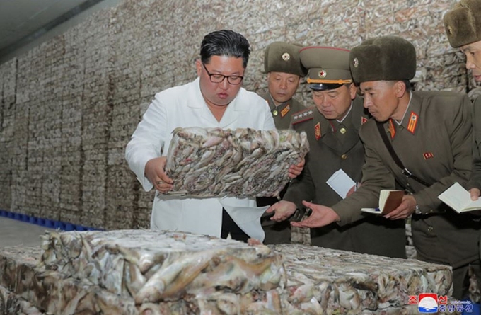 김정은 북한 국무위원장이 당국 간부들과 물고기 공장을 시찰하고 있는 모습을 19일 노동신문과 조선중앙통신이 보도했다. 조선중앙통신 연합뉴스