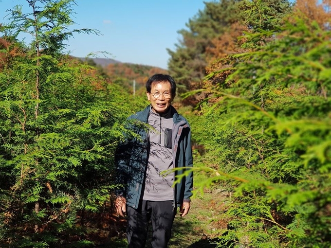 [저작권 한국일보]우세균 대표가 25일 자신이 시범 재배에 성공한 경기 포천시 나무농원 편백나무 사이에서 포즈를 취하고 있다. 그는 “아무도 가지 않은 길을 가는 것이 힘에 부치지만, 누군가는 꼭 해야 할 일이기에 도전했다”고 말했다.