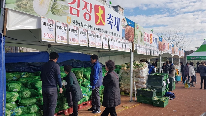 소비자들이 28일 농협 경북지역본부가 주최한 김장채소 직거래장터에서 시세대비 최대 절반가까이 할인한 배추 등 김장채소를 둘러보고 있다. 류수현 기자 suhyeonryu@hankookilbo.com