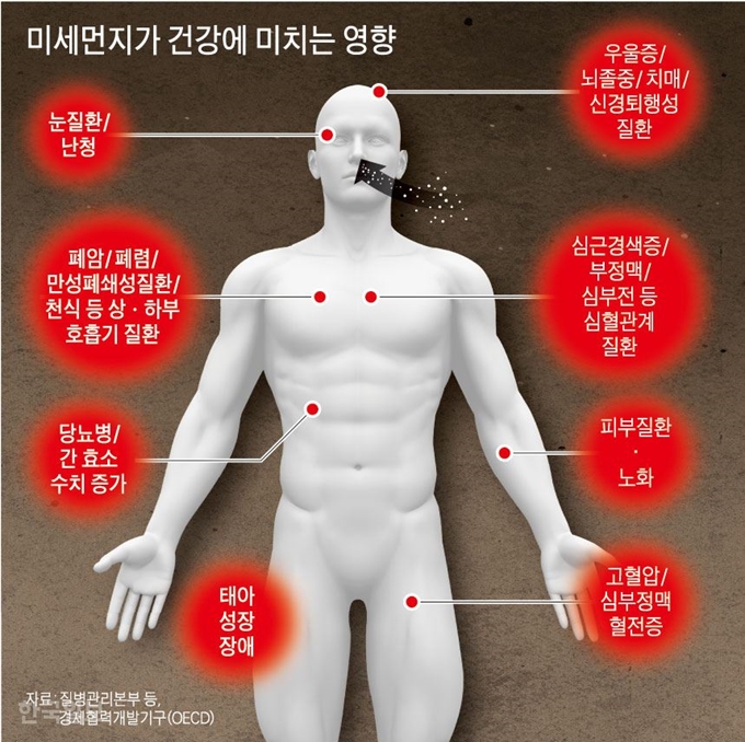 미세먼지가 건강에 미치는 영향. 강준구 기자