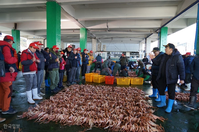 경북 포항 구룡포수산업협동조합(수협) 소속 경매사와 중매인들이 3일 오전 구룡포항 수협위판장에서 동해 연안에서 잡은 대게를 펼쳐놓고 경매에 한창이다. 김정혜 기자 kjh@hankookilbo.com